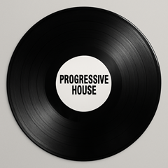 alt="Progressive House kategória –  építkező house vinyl lemezek zenerajongóknak"