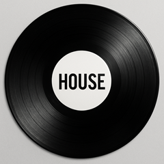 alt="House kategória – vinyl lemezek elektronikus zene kedvelőinek"
