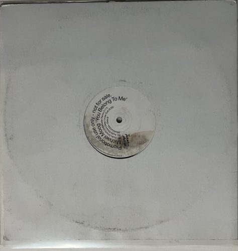 Michael Moog – You Belong To Me 12" promo vinyl, Strictly Rhythm UK SRUKDJ1204, house 2001 UK