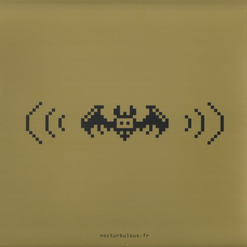 Orlando Voorn Tronics Limited Edition Techno Electro Bakelit Lemez