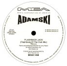 Adamski – Flashback Jack 12" vinyl remix maxi, 1990, deep house UK