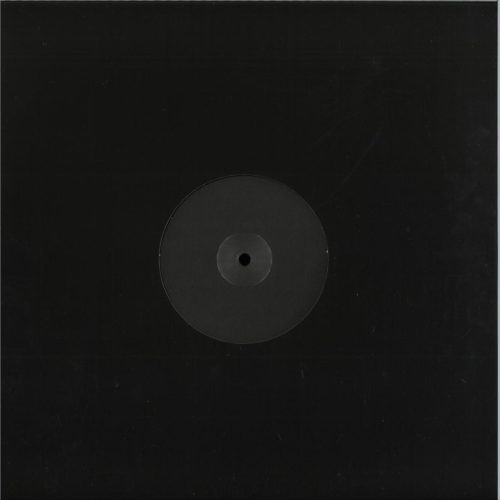 Unknown Artist Enjoy house 12" vinyl white label maxi lemez