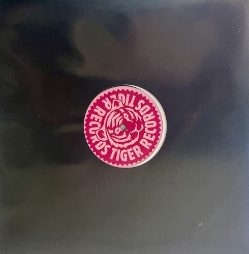 Vokális trance újrakiadás – 4 Strings – Take Me Away 12" vinyl