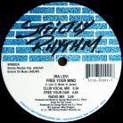 Ira Levi – Free Your Mind 12" vinyl, Strictly Rhythm Blue SRB002, garage house classic 1992
