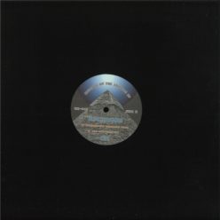 DJ Rolando Jaguar Detroit techno 12 inch vinyl bakelit lemez