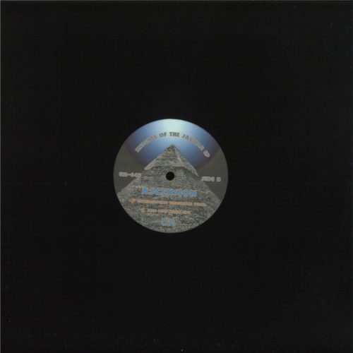 DJ Rolando Jaguar Detroit techno 12 inch vinyl bakelit lemez