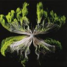 Rebūke – Along Came Polly