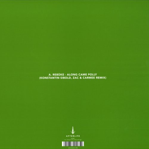 Rebūke – Along Came Polly