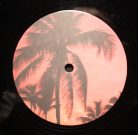 Universe Media Miami Sampler 2011 12" vinyl, UMMSAMP 01, Chris B, Triple Dee remix, euro house maxi