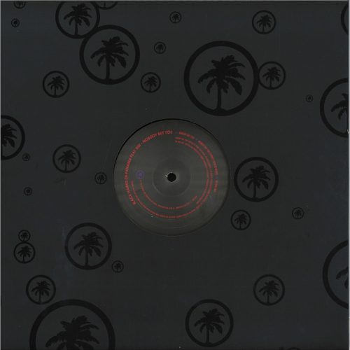 Black Hawks Of Panama Featuring Bisi Nobody But You Hot Creations HOTC200 bakelit
