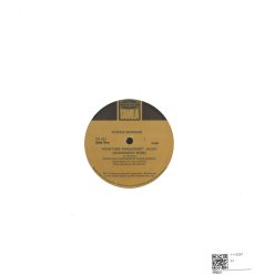 Stevie Wonder Paradise House Remix 12 inch Vinyl PR601