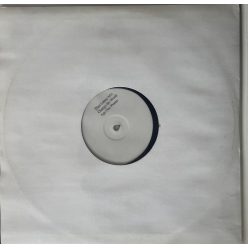 Dino Lenny vs. The Housemartins – Change The World 12" white label promo vinyl, 2002 UK