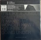 Stunt Nuts feat. Melle Mel – The Message 12" remix vinyl, Judge Jules mix, 1999