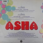 ASHA – J.J. Tribute 12" vinyl, Ffrreedom UK 1995, italo house, euro house remix maxi