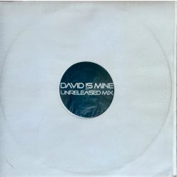 David Guetta Seal progressive house 12" vinyl white label maxi lemez