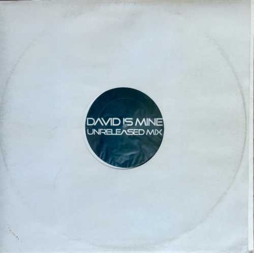 David Guetta Seal progressive house 12" vinyl white label maxi lemez