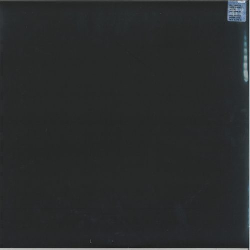 DJ Ross X Erika – Who I Wanna Be trance 12" vinyl