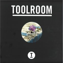 Friend Within – Hope (2021, UK) Toolroom Records house vinyl - Bakelit Records