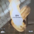 David Guetta – Stay (Használt Vinyl)