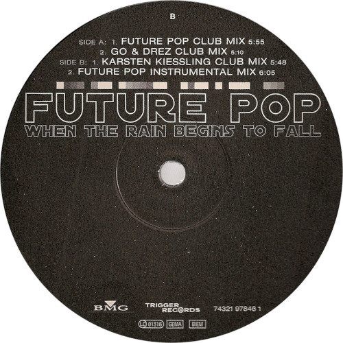 Future Pop ‎– When The Rain Begins To Fall (Használt Vinyl)