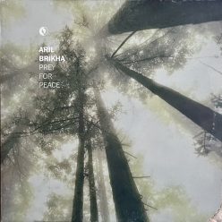 Aril Brikha – Prey For Peace