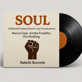 Soul Vinyl – Zene, ami szívből szól