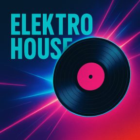 Elektro House Vinyl – Klubenergiák új pressingeken