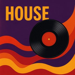 House Vinyl – A tánczene szíve bakeliten